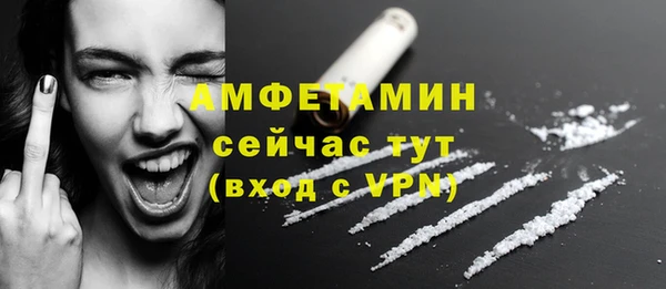 соль ск Ветлуга