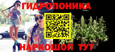 ПСИЛОЦИБИНОВЫЕ ГРИБЫ Заволжье