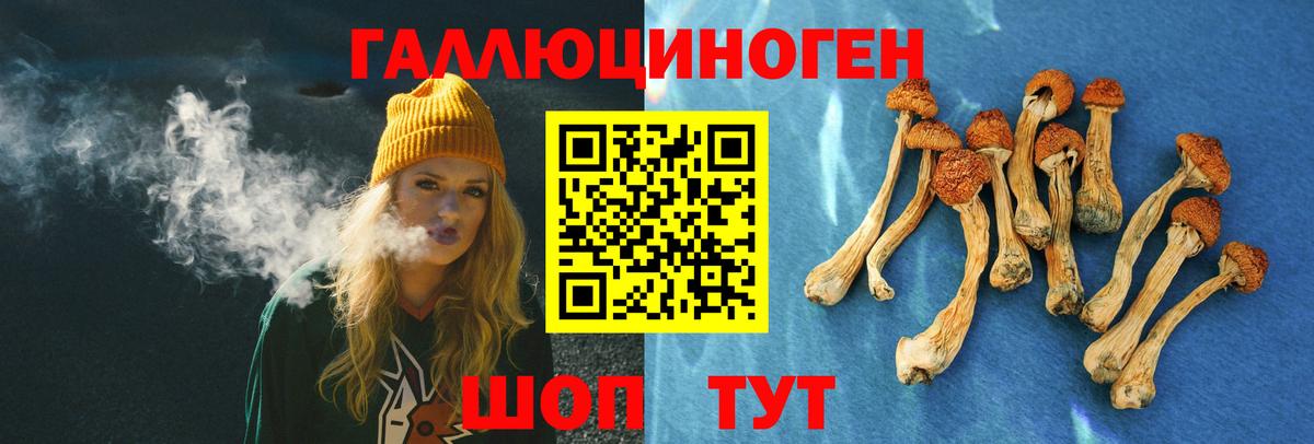 Псилоцибиновые грибы мухоморы Краснокаменск